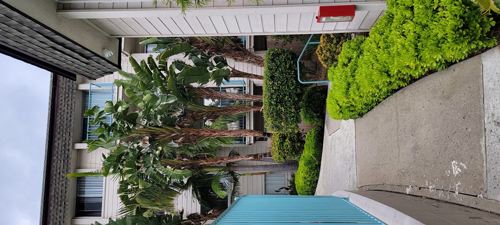 Walkway to back building with lush gardens and palm trees at La Mesa Village Apartments in La Mesa, California.
