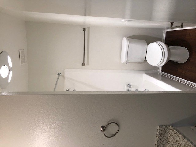 a bathroom with a bathtub and a toilet