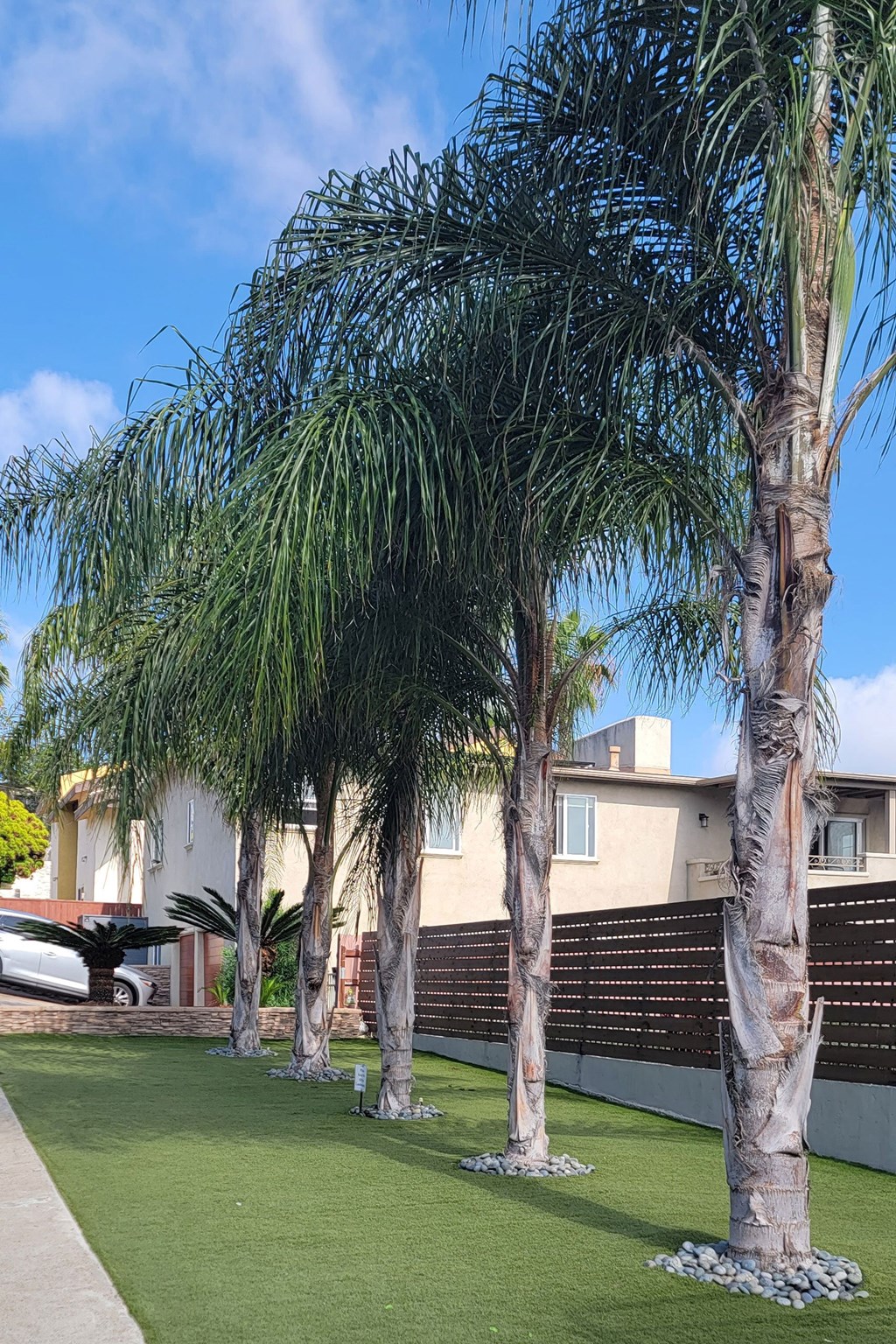 Palm trees in front of privacy fence at 5747 Lauretta Street Apartments in San Diego, California.
