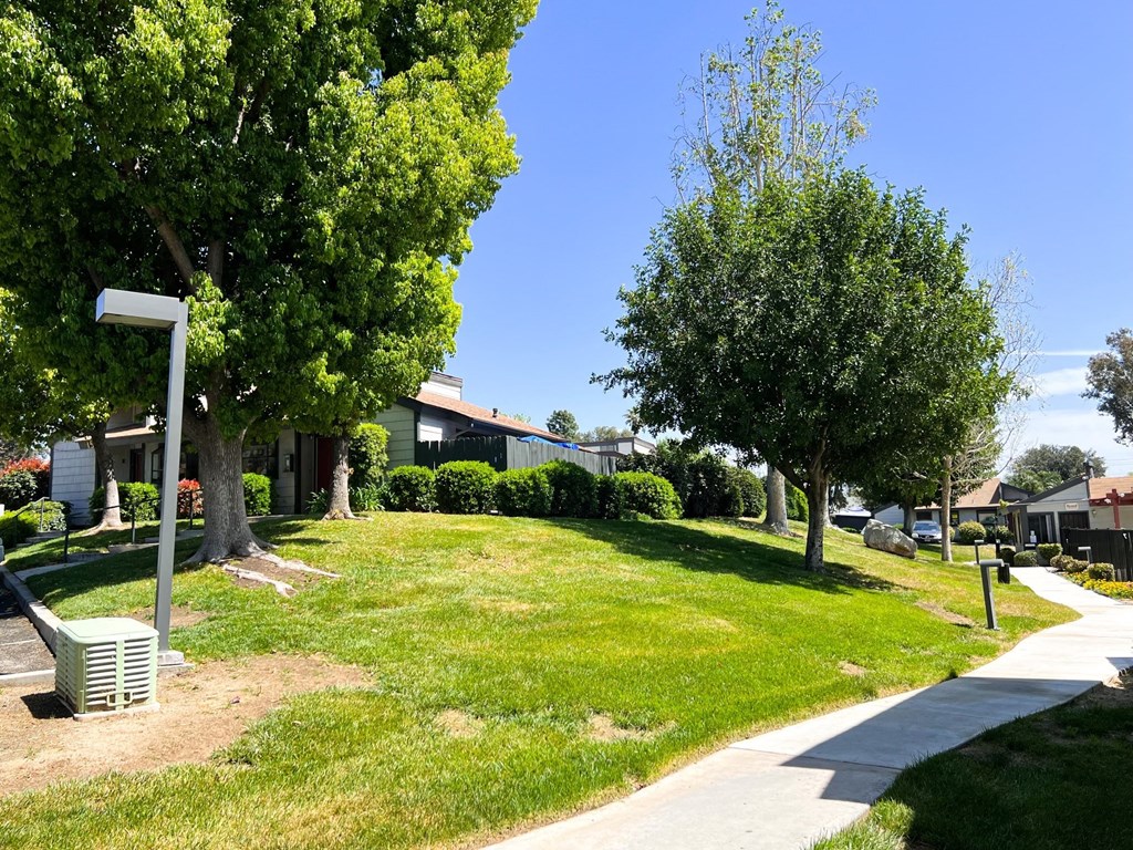 Grassy treed walkway at Dove Ridge Apartments.