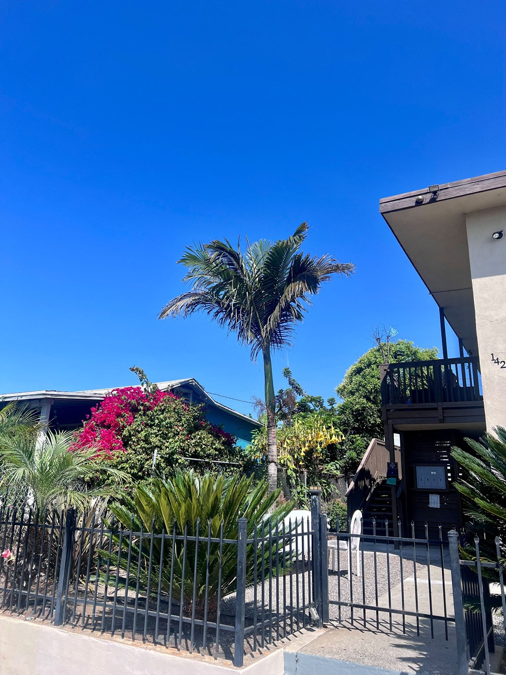 Street view of front yard landscaping at Higgins Street Apartments in Oceanside, California.