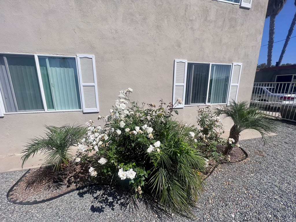 Garden in front yard at Higgins Street Apartments in Oceanside, California.