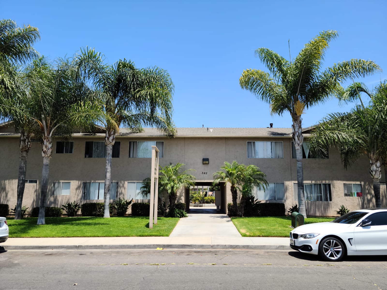 Mature palm trees in front of Zenith Place Apartments in Chula Vista, California.