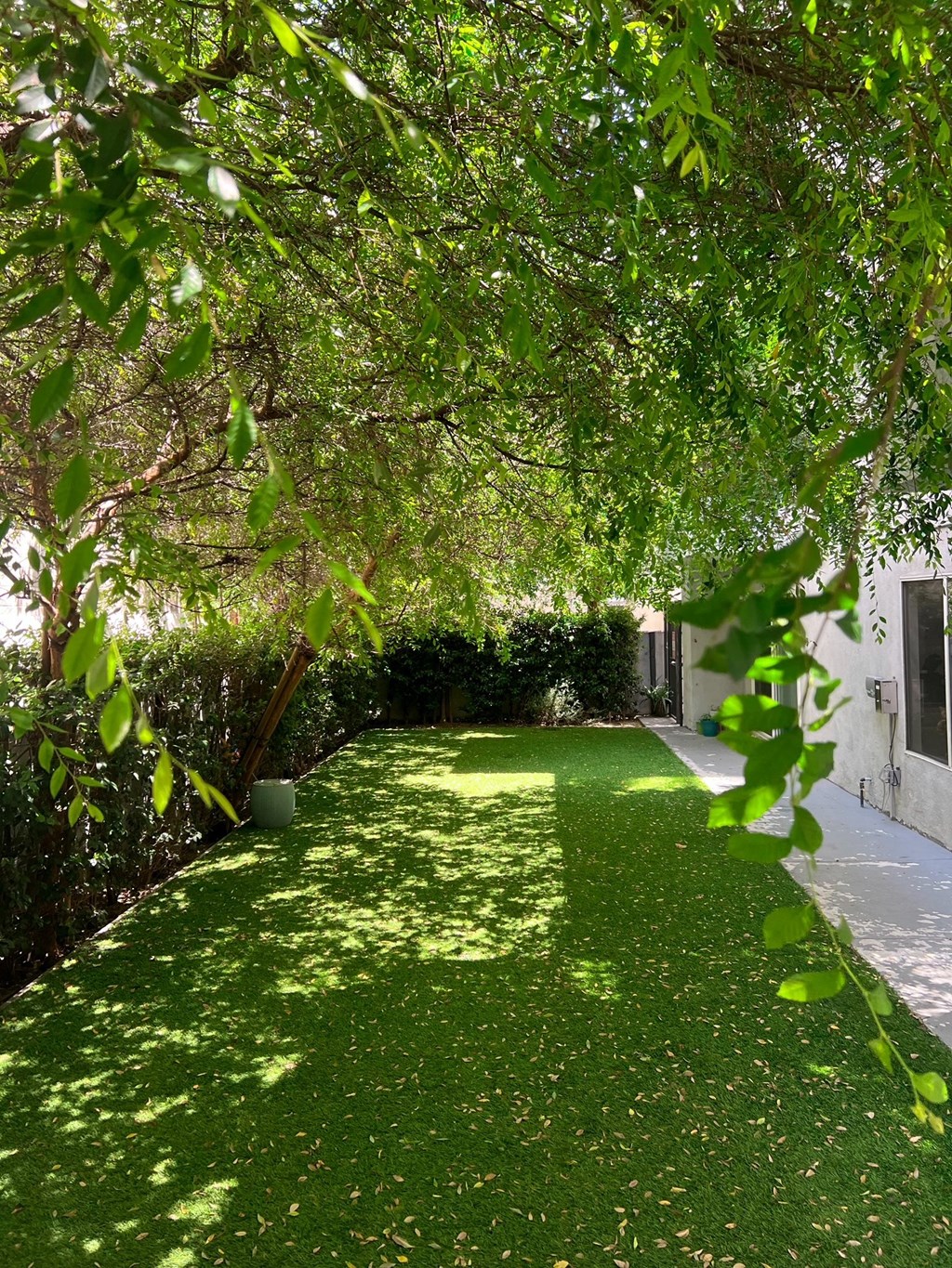 Nicely shaded landscaped area in back of The Carlton apartments in Hollywood, California.