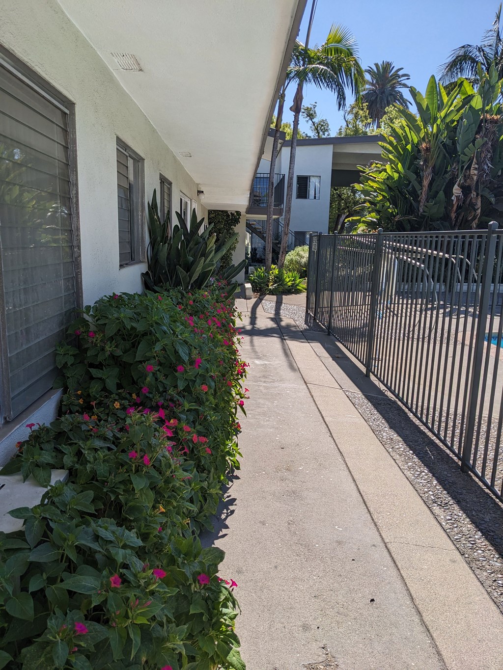 Walkway inside gated area beside pool and apartment enterances at Los Robles Apartments in Pasadena, California.