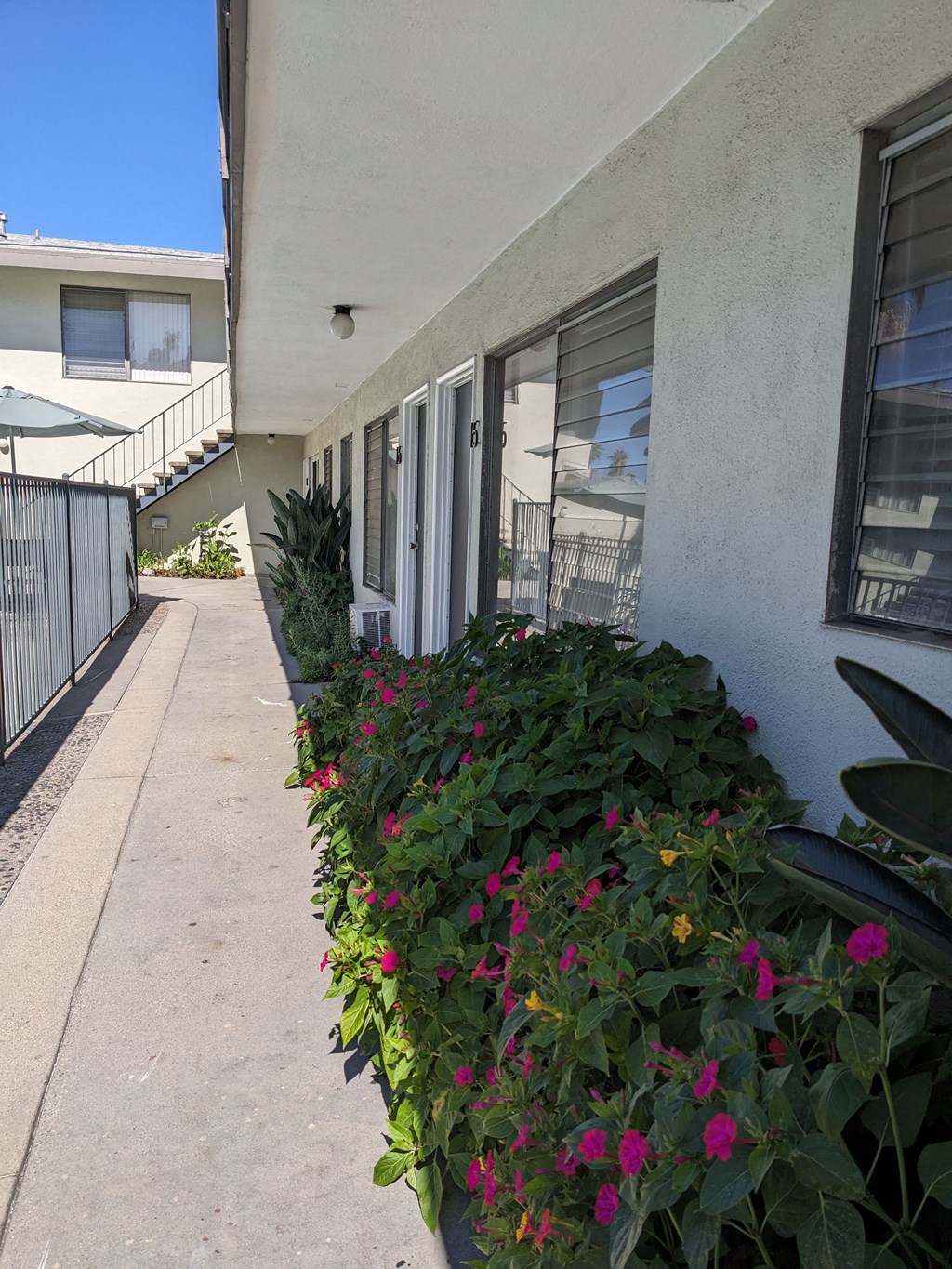 Flowering gardens along innear walkway to swimming pool and apartments at Los Robles in Pasadena, California.