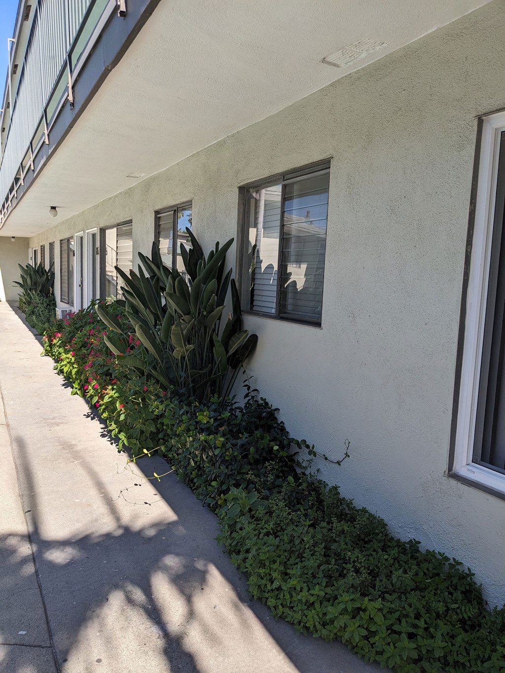 Gardens along central walkway in front of apartments at Los Robles in Pasadena, California.