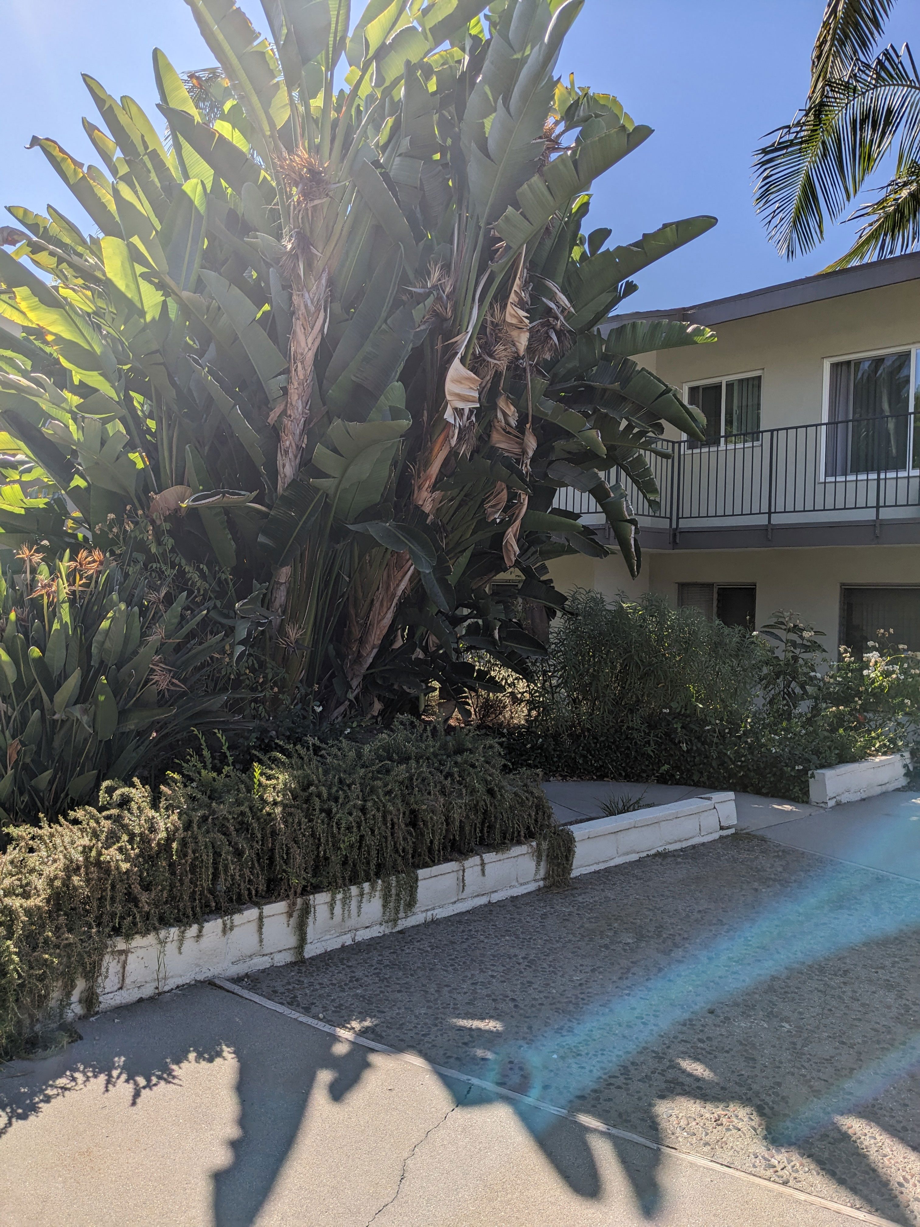 Lush landscaping at Los Robles Apartments in Pasadena, California.