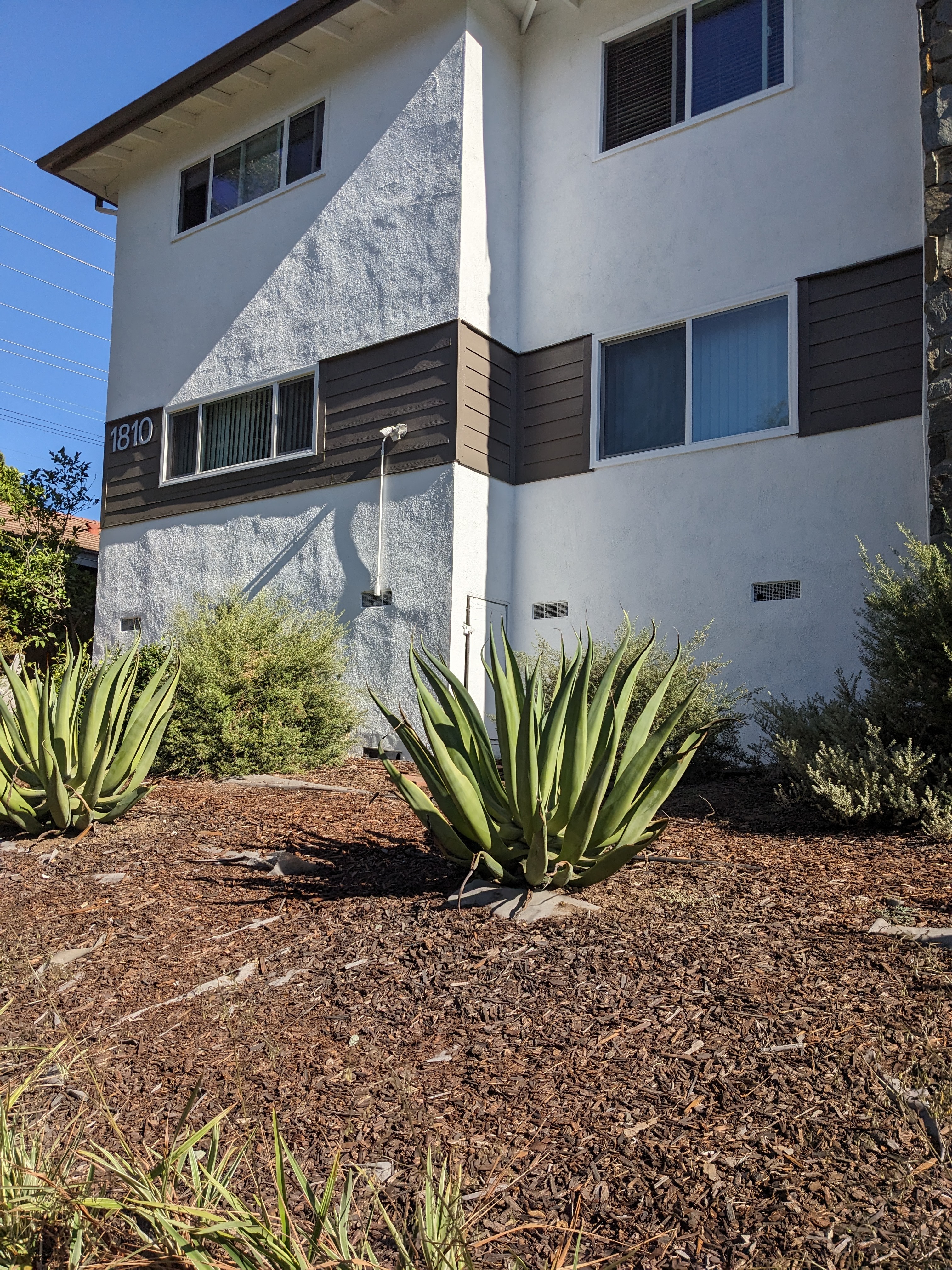Front yard view of The Hardison in Pasadena, California.