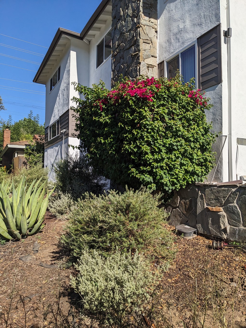 The Hardison front landscaping in Pasadena, California.