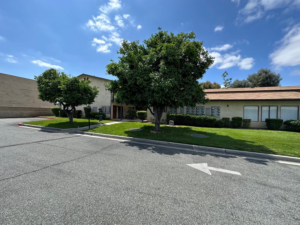 Apartments at Park Yale Apartments in Hemet, California.