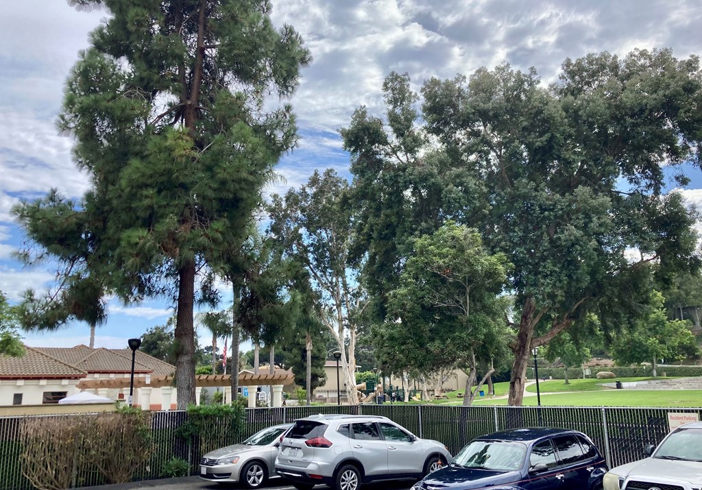 Solana Park Apartments parking lot with La Colonia Park recreation center in the background.