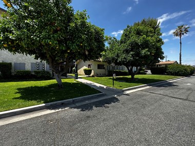 a view from the street of a white building with a palm tree in the background