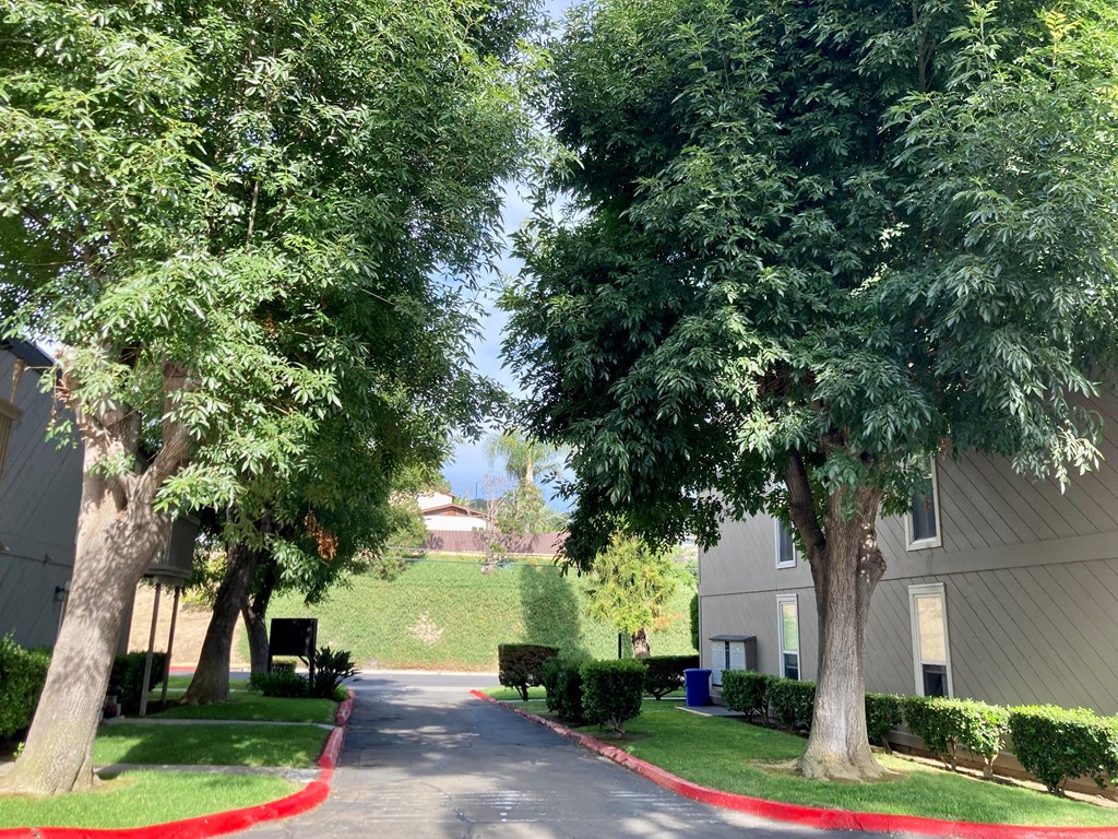 Tree lined parking lot egress at Solana Park Apartments in Solana Beach, California.