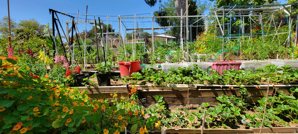 Sierra Heights Community Garden
