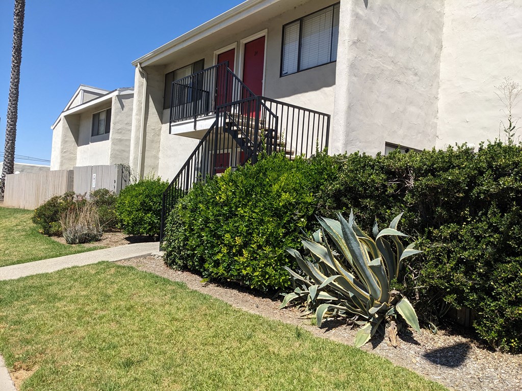 Sidewalk view of mature landscaping around the Steckel Apartments in Santa Paula, California.