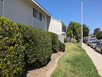 Sidewalk view of landscaping around Steckel Apartments in Santa Paula, California.