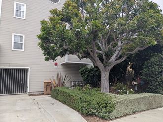 Maticulous landscape gardens at Summer House Apartments in Ventura, California.