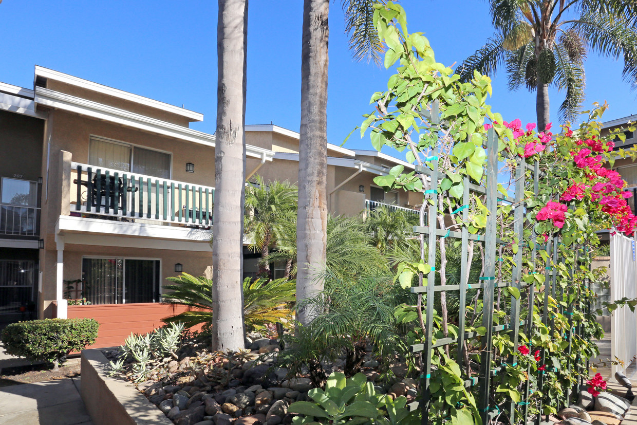 Viewing dwelling building through courtyard foliage