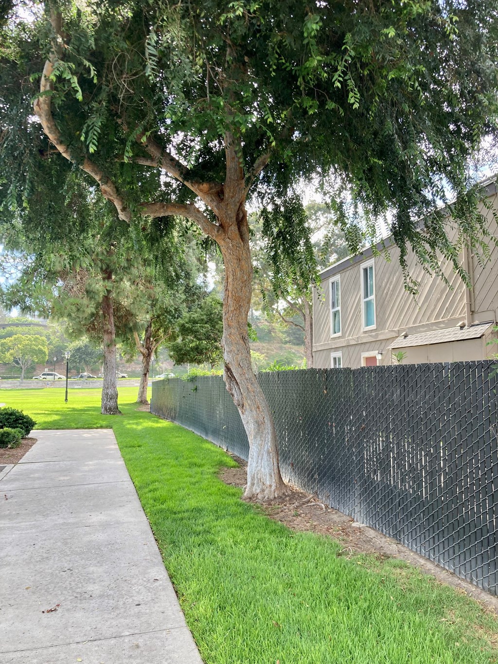 Tree lined park walkway just outside of parking lot at Solana Park Apartments in Solana Beach, California.