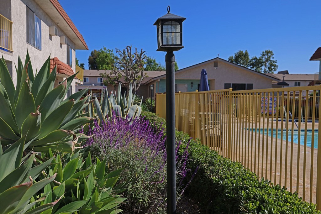 Lush landscaping along walkways and swimming pool and The Willows at Washington Apartments in El Cajon, California.