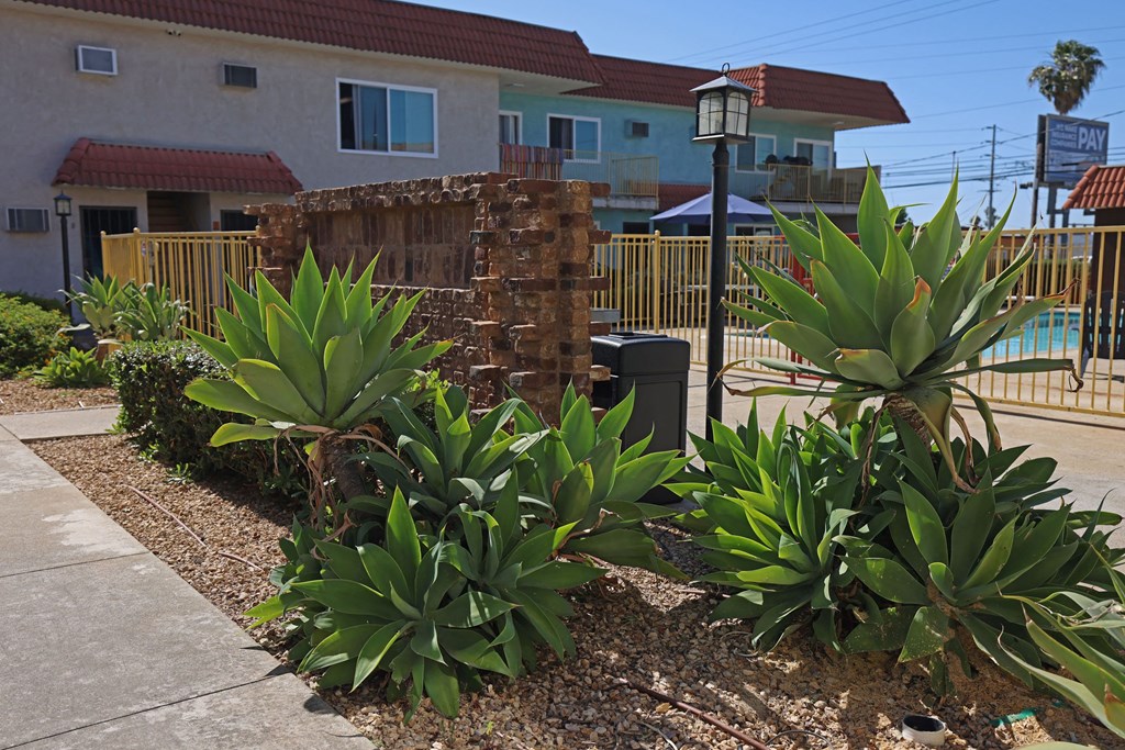Plants, swimming pool and BBQ area in central courtyard of The Willows at Washington Apartments in El Cajon, California.