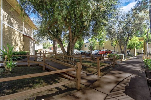 A tree-lined walkway with a wooden fence on one side.