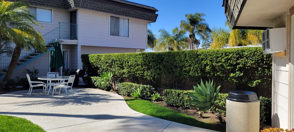 The palm tree courtyard at La Mesa Village apartments is a great place to relax!