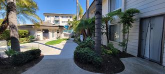 The palm tree lined courtyard leading to the office and pool.