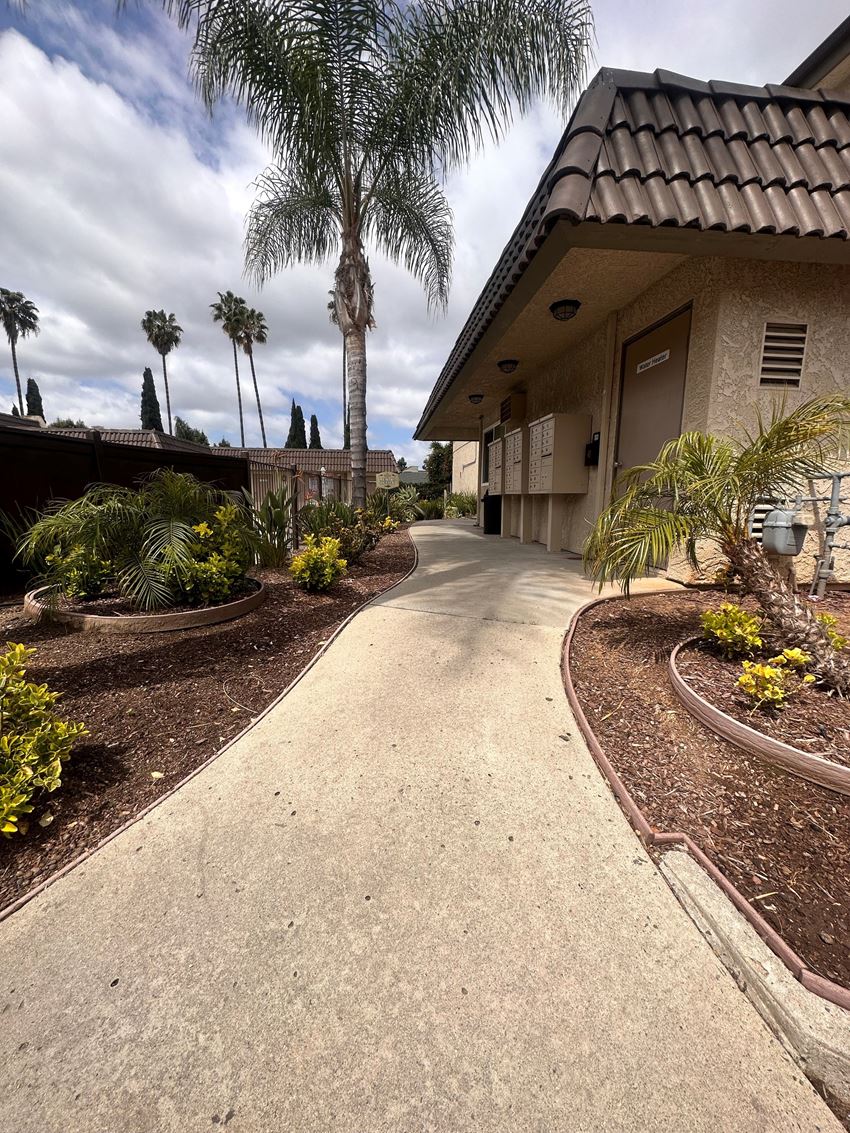 Landscaped walkway behind swimming pool deck at The Meadowlark Apartments. - Photo Gallery