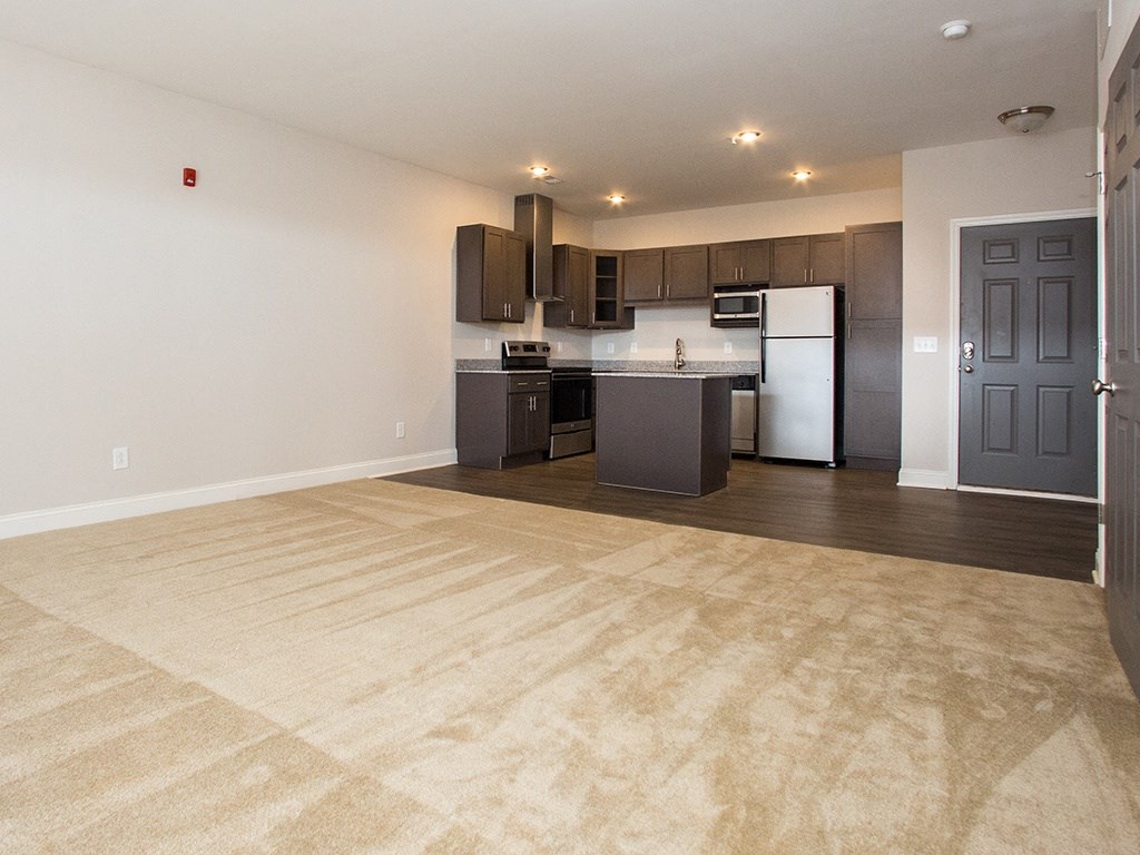 119 South apartments living room and kitchen