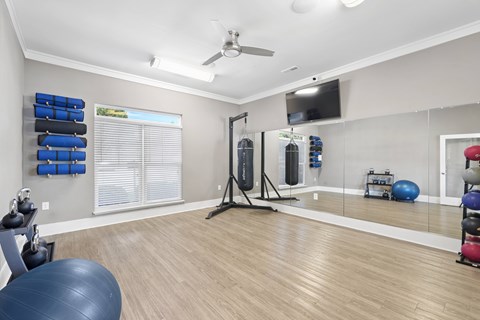 A spacious room with a mirror, exercise equipment, and a ceiling fan.