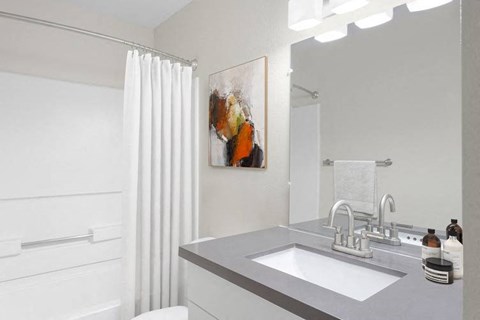 a bathroom with a sink, mirror, and shower