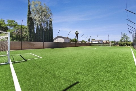 a soccer field on a sunny day with palm trees in the background
