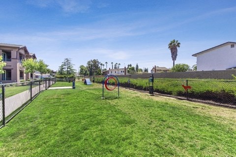 a large grassy area with a swing set in the middle of it