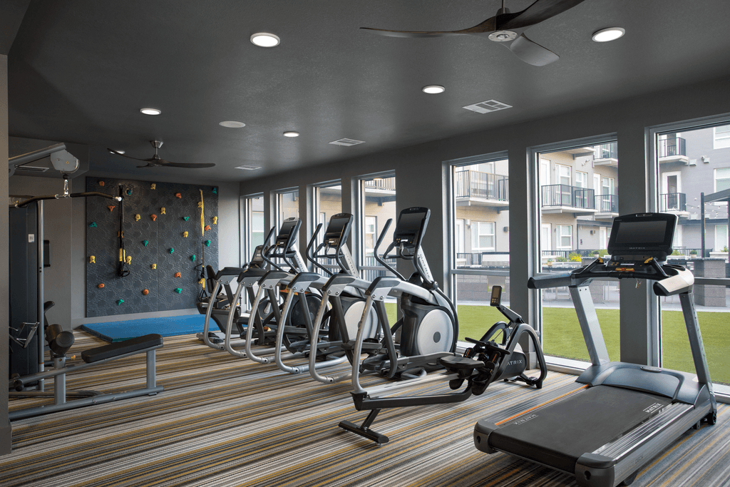 a gym with cardio machines and a rock climbing wall