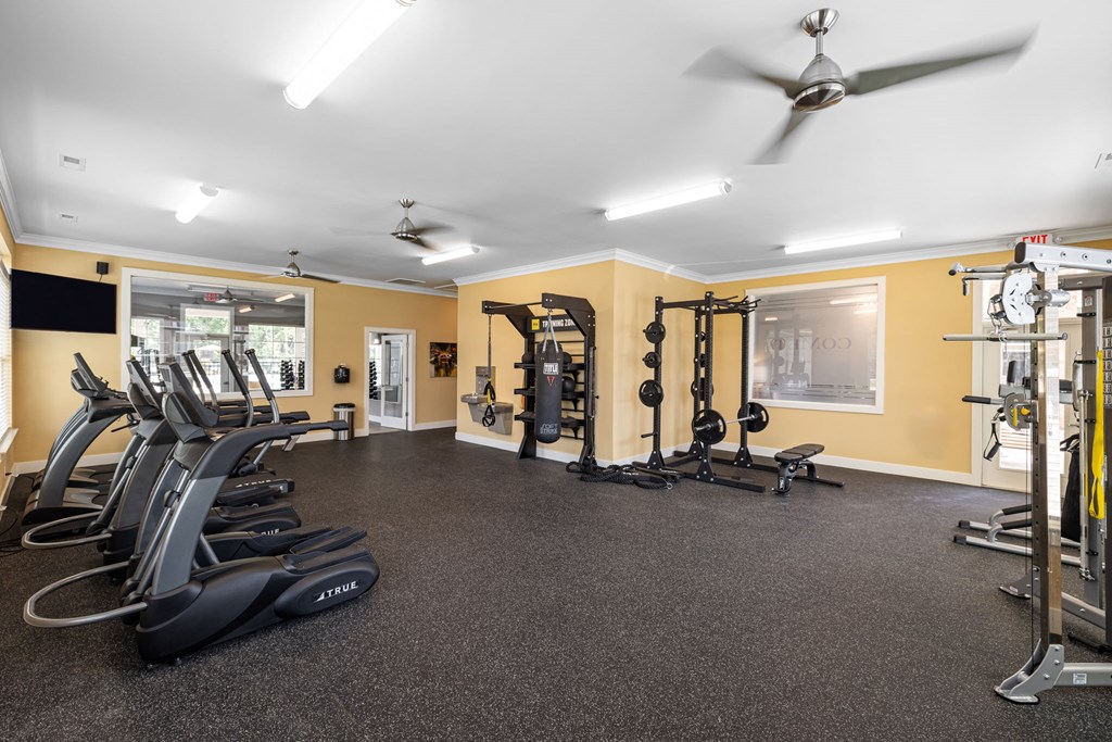 a spacious fitness room with carpeted flooring and a large window with a view of the