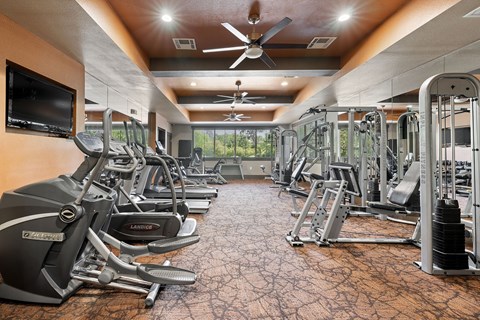 A gym with a variety of equipment including treadmills, weights, and a television.