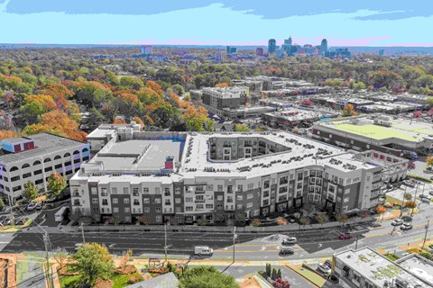 A cityscape with a large building in the center and a city skyline in the distance.