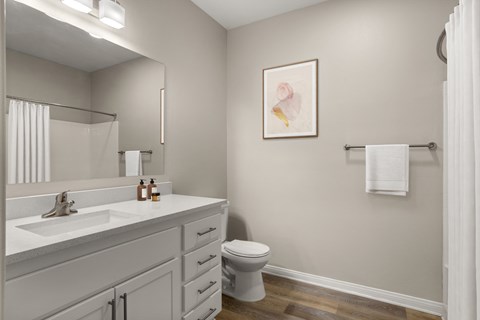 a bathroom with gray walls and a white vanity with a white sink and toilet
