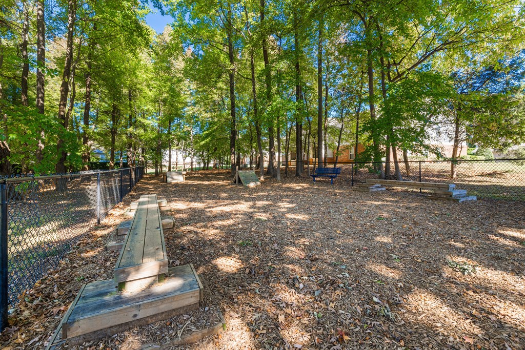 A park with a bench and trees.