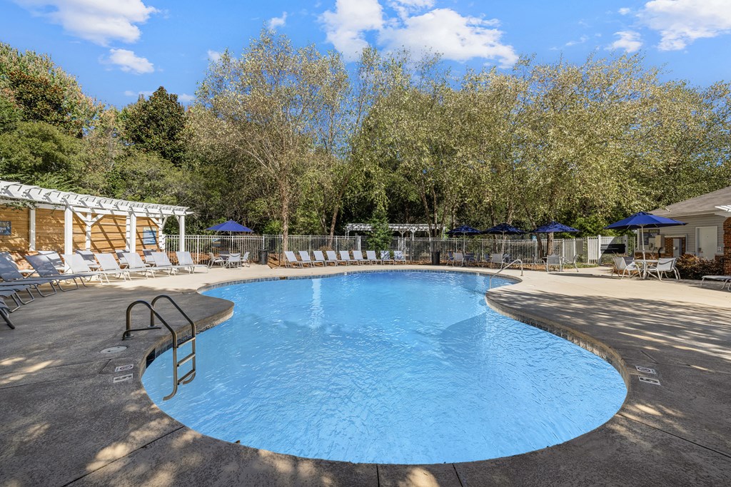 A large blue swimming pool surrounded by trees and sun loungers.