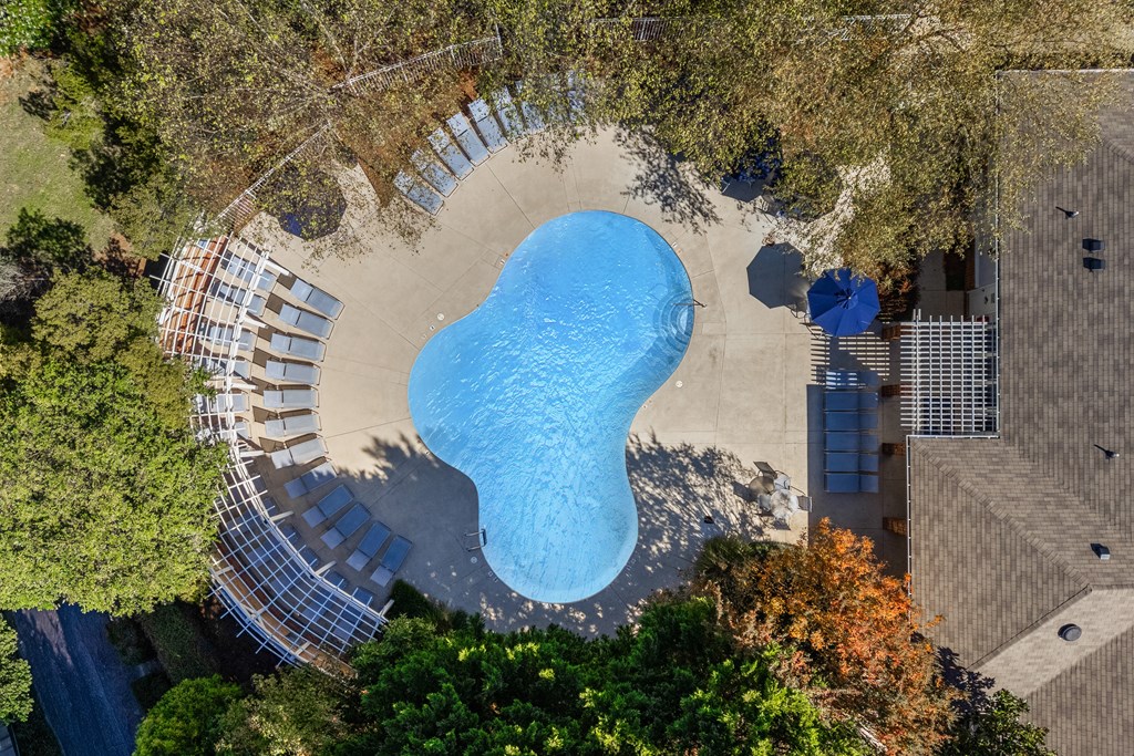 An aerial view of a swimming pool surrounded by trees.