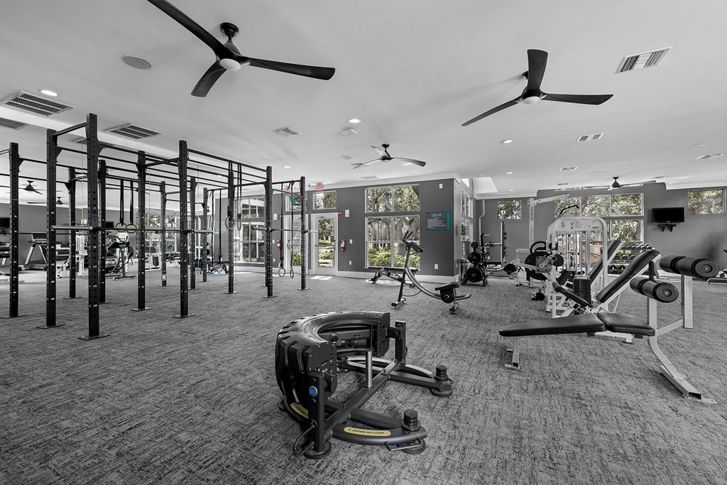 A gym with a variety of equipment including treadmills, weights, and a rowing machine.