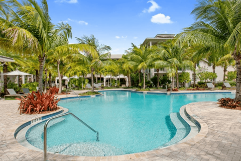 A swimming pool surrounded by palm trees and a clear blue sky.