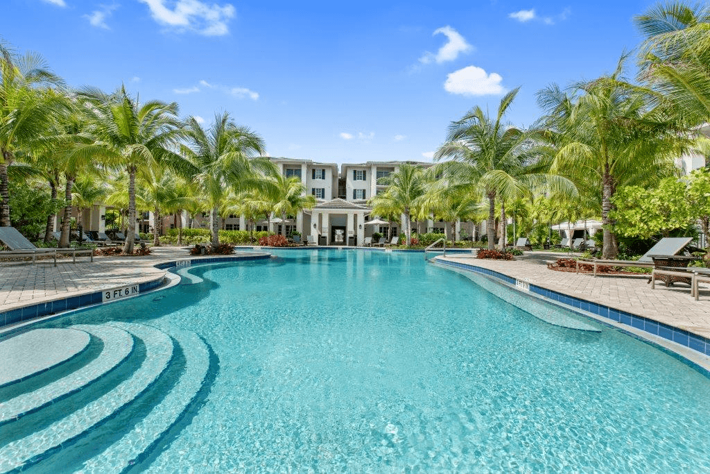A large swimming pool surrounded by palm trees and lounge chairs.