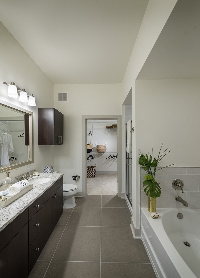 A bathroom with a white tub and a plant on the side.