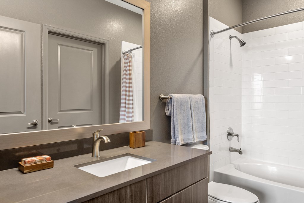 a bathroom with a sink and a shower and a mirror