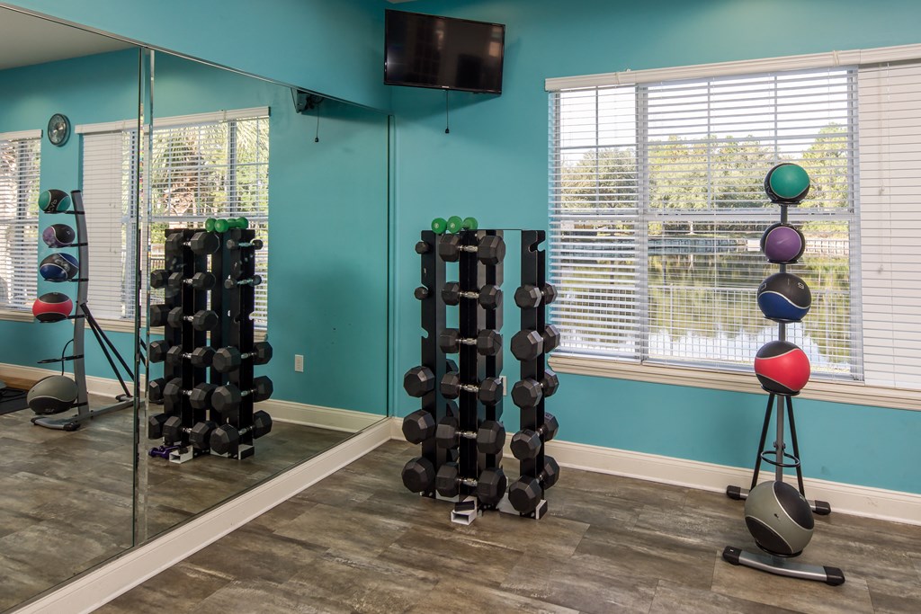 a fitness room with weights and a tv