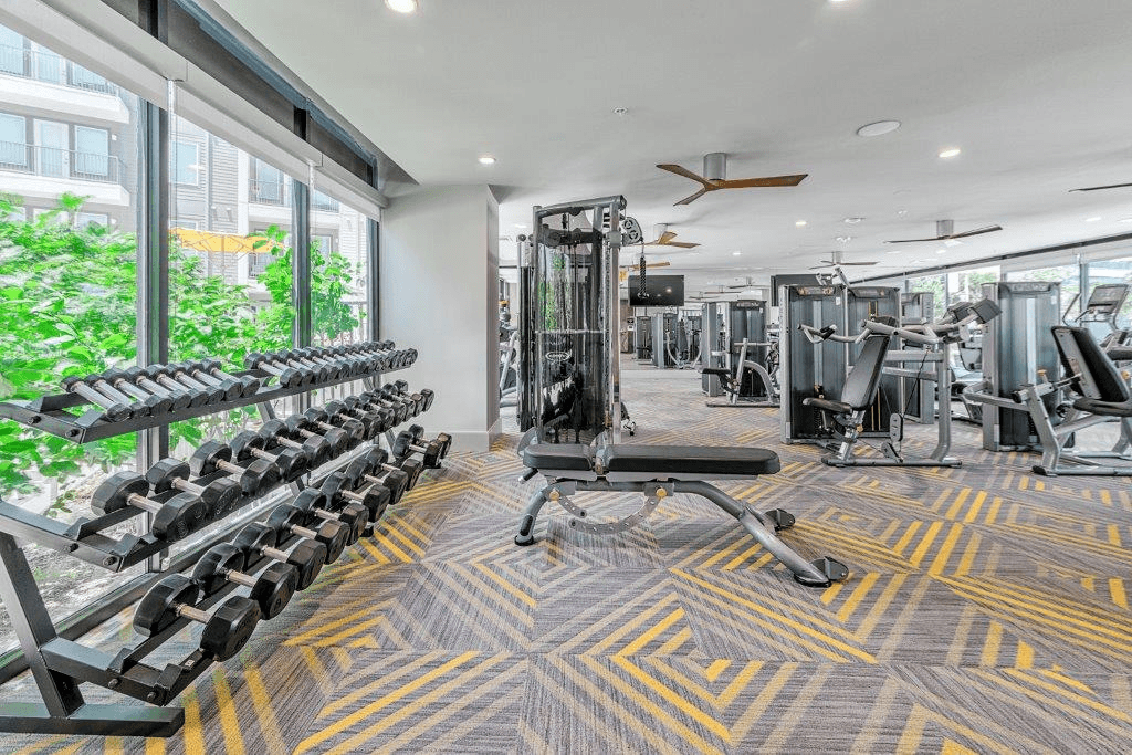 A gym with a variety of equipment including a row of dumbbells and a bench press.